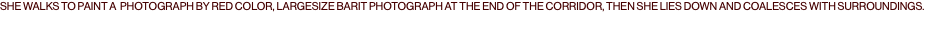 SHE WALKS TO PAINT A PHOTOGRAPH BY RED COLOR, LARGESIZE BARIT PHOTOGRAPH AT THE END OF THE CORRIDOR, THEN SHE LIES DOWN AND COALESCES WITH SURROUNDINGS.
